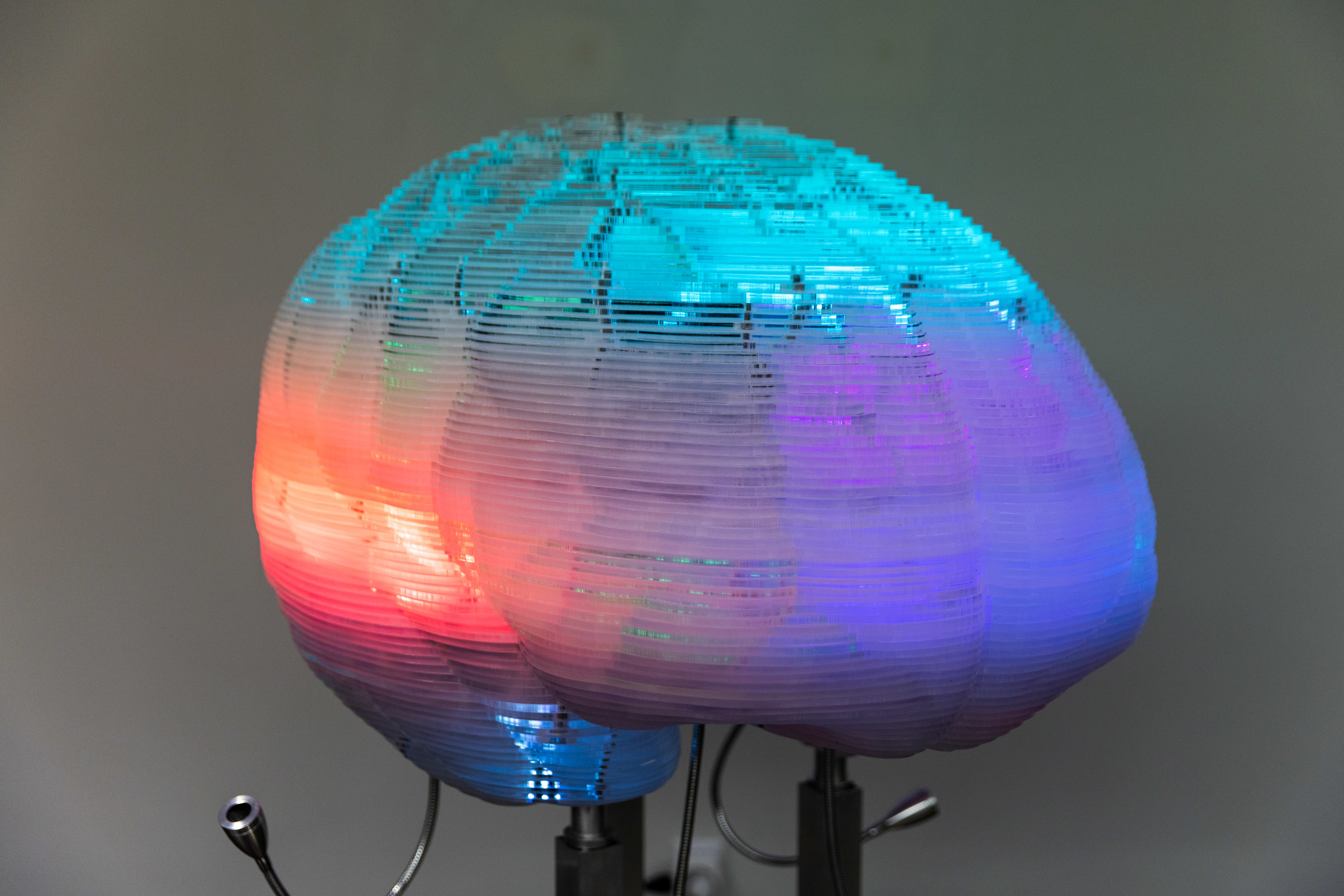 LED human brain model by Daniel Miller